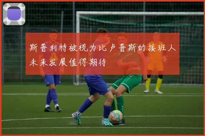 斯普利特被视为比卢普斯的接班人未来发展值得期待