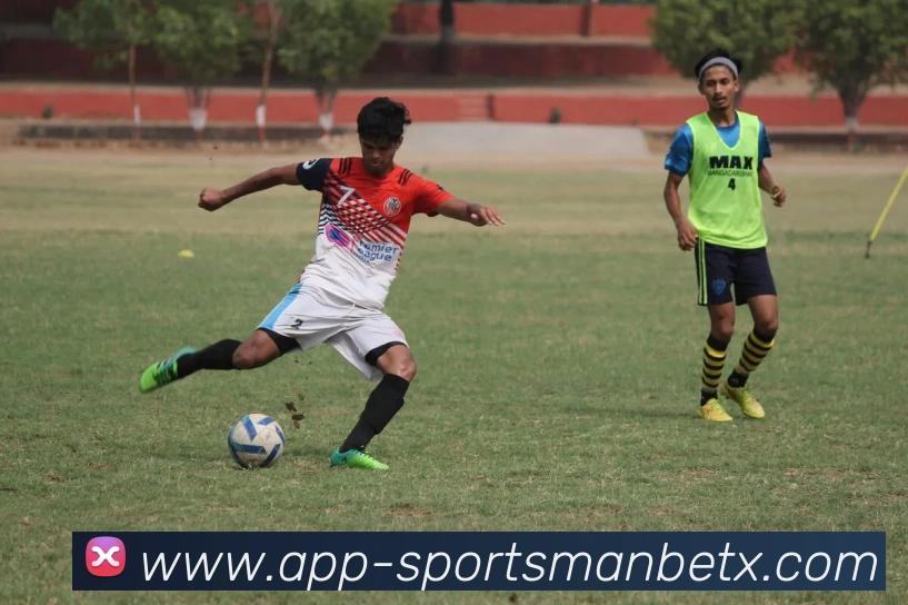 万博体育平台生态图