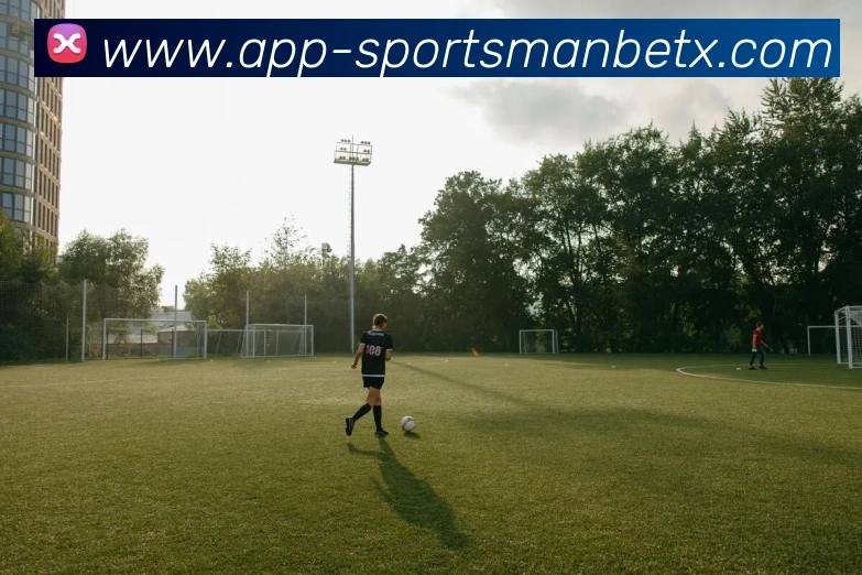 万博体育APP 封面图