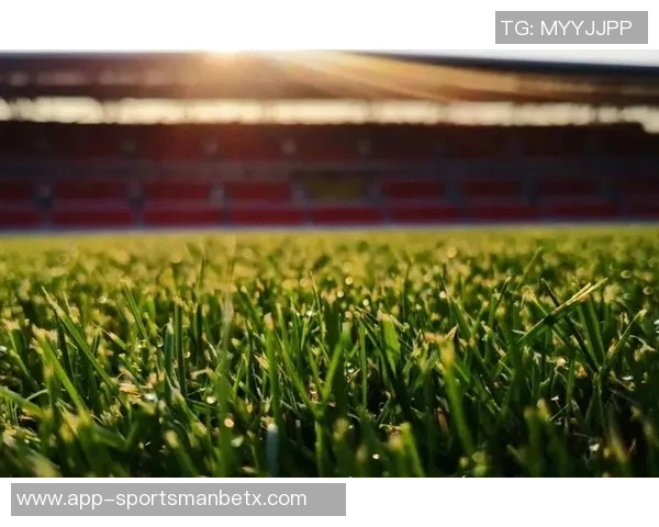 草皮质量堪忧王大雷呼吁大家共同维护主场草坪环境 草皮质量堪忧王大雷呼吁大家共同维护主场草坪环境
